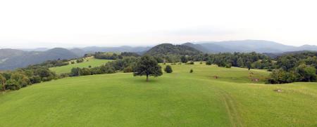 Planina nad Podbočjem